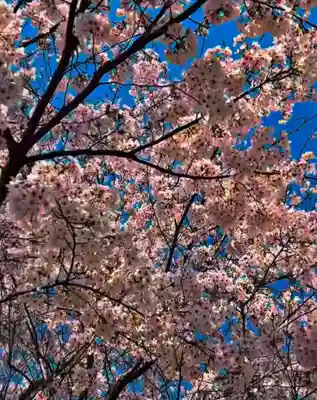 瀧宮神社(広島県)