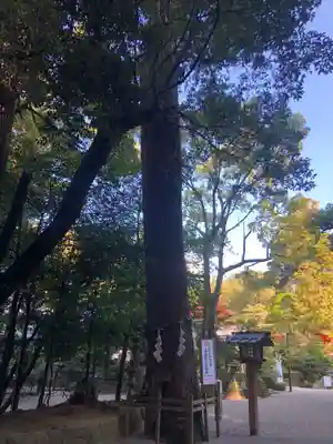 石上神宮のその他建物