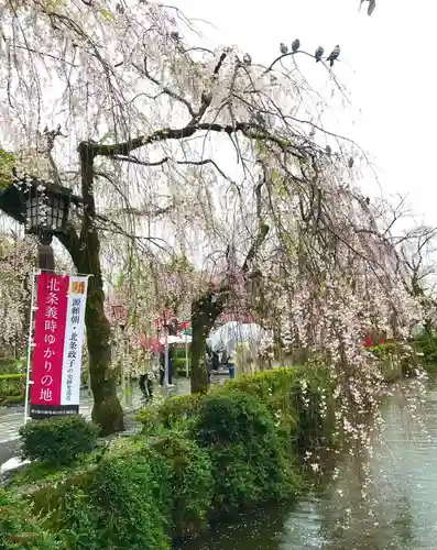 三嶋大社(静岡県)