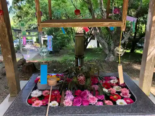 坂本八幡神社の手水