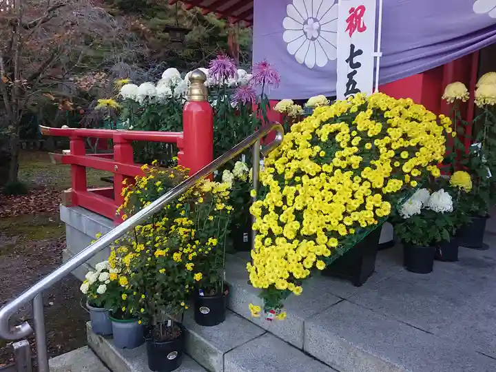宮城縣護國神社の七五三参