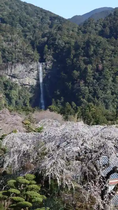 青岸渡寺(和歌山県)