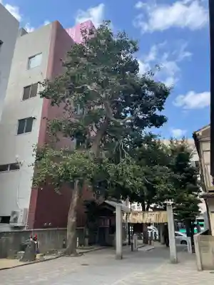 猿田彦神社のその他建物