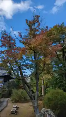 浄住寺(京都府)