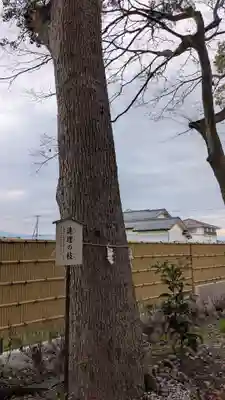 高忍日賣神社(愛媛県)