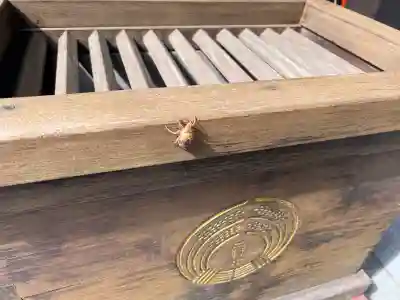 三軒地稲荷神社(茨城県)