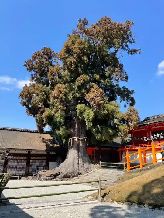 春日大社(奈良県)