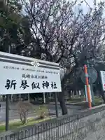 新琴似神社の自然