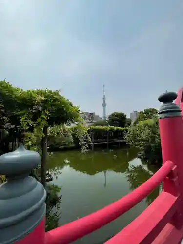 亀戸天神社の庭園