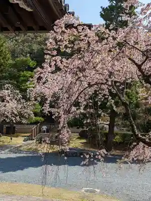 妙満寺(京都府)
