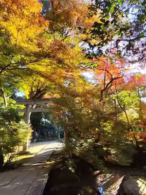 毘沙門堂門跡(京都府)
