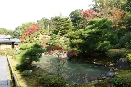 根来寺 智積院の庭園