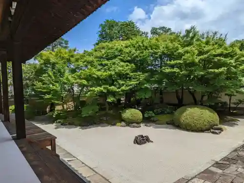 妙顯寺（妙顕寺）(京都府)