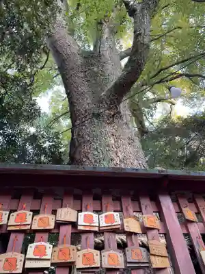 長田神社(兵庫県)