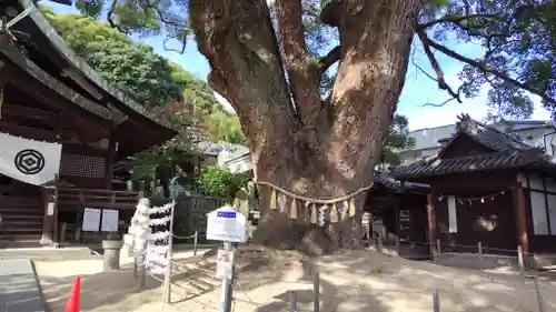 艮神社(広島県)