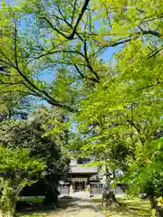 守りの神　藤基神社(新潟県)