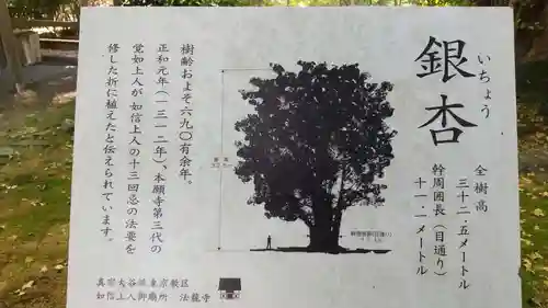 如信上人御廟所法龍寺の自然