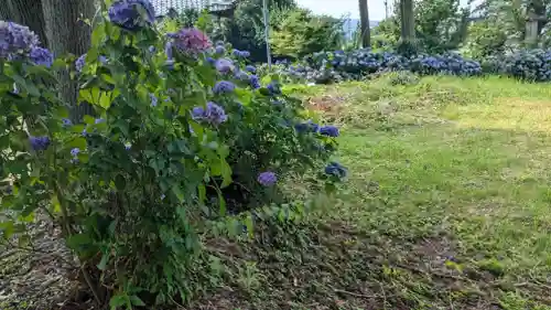 浄妙寺(福井県)