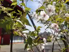 正八幡宮(神奈川県)