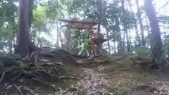 小丸山稲荷神社の鳥居