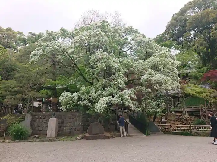 深大寺(東京都)