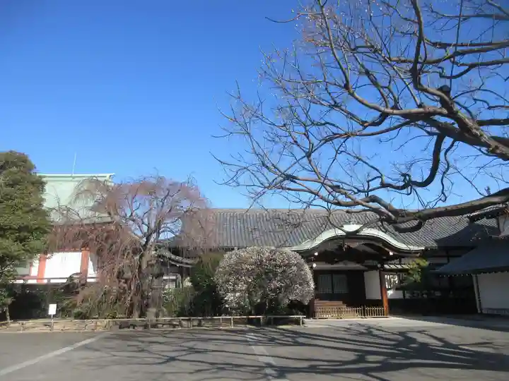 吉祥寺(東京都)