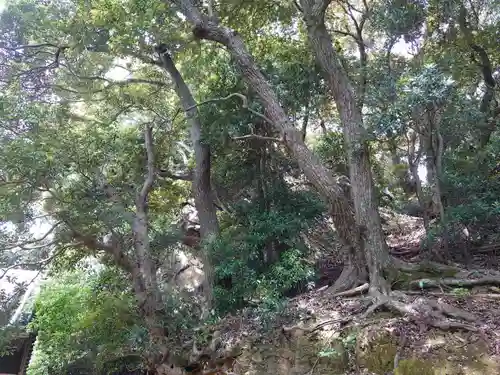 赤岩神社(静岡県)