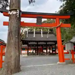 吉田神社(京都府)