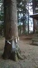 稲荷神社の建物その他