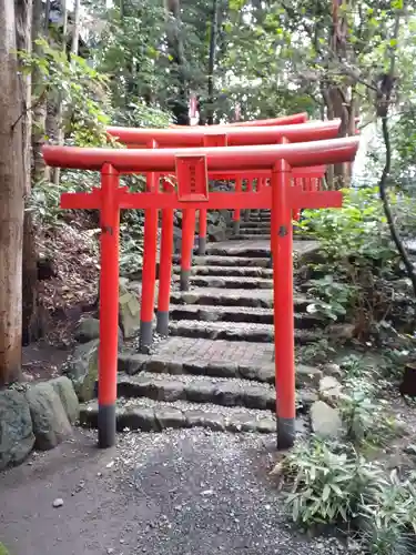 白笹稲荷神社の鳥居