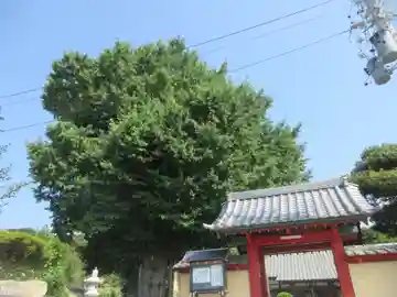 石蔵院(静岡県)