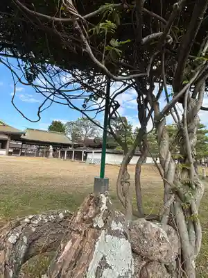 阿閇神社(兵庫県)