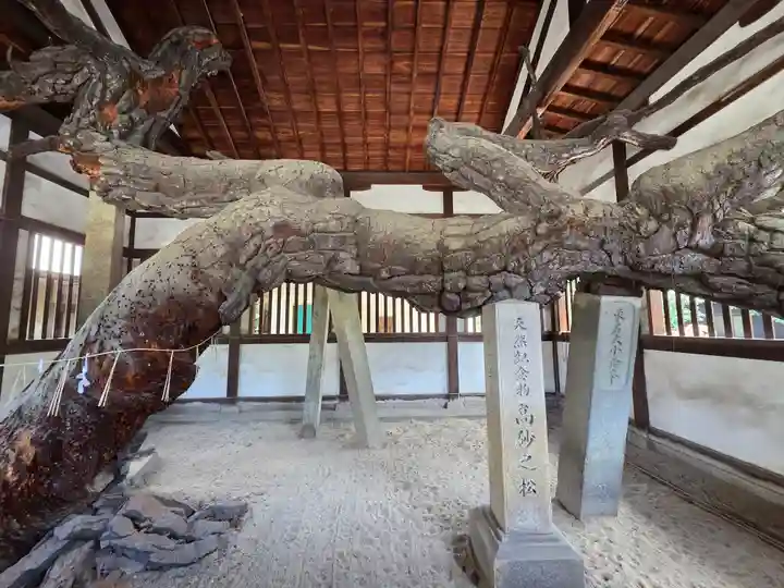 高砂神社(兵庫県)