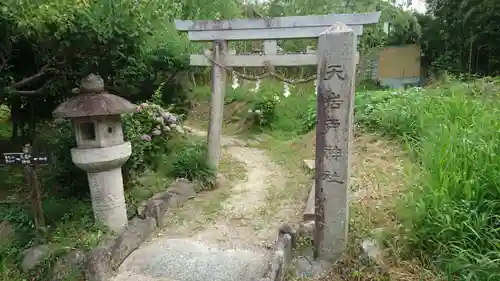 天岩戸神社の鳥居