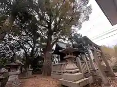 大歳神社(兵庫県)