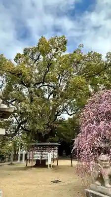 屯倉神社(大阪府)