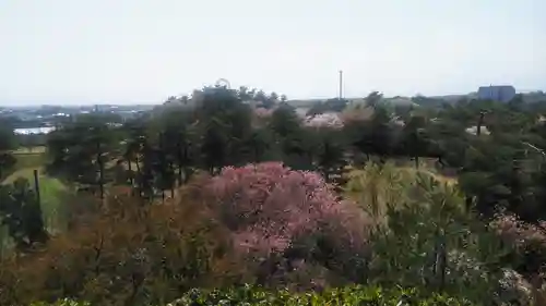 浅間神社の景色