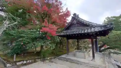 仁和寺の{uncategorized: "未分類", other: "その他", undefined: "問題あり", building: "その他建物", grave: "お墓", sacred_gate: "鳥居", guardian: "狛犬", statue: "像", buddha: "仏像", history: "歴史", nature: "自然", garden: "庭園", animal: "動物", pagoda: "塔", temizu: "手水舎", mountain_gate: "山門・神門", sanctuary: "本殿・本堂", subordinate: "末社・摂社", art: "芸術", scenery: "景色", jizo: "地蔵", ema: "絵馬", goshuin: "御朱印", omikuji: "おみくじ", items: "授与品その他", amulet: "お守り", goshuincho: "御朱印帳", eats: "食事", festival: "お祭り", votive_dance: "神楽", shichigosan: "七五三参", wedding: "結婚式", experience: "体験その他", initially: "初詣", around: "周辺", anti_infection: "感染症対策"}