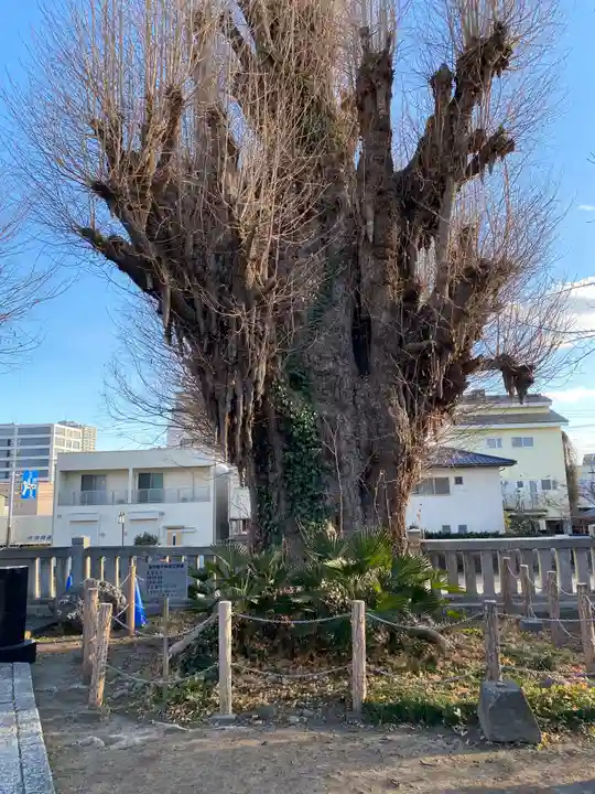 前橋八幡宮(群馬県)