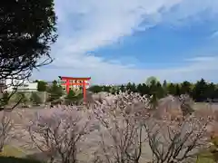 樽前山神社の自然