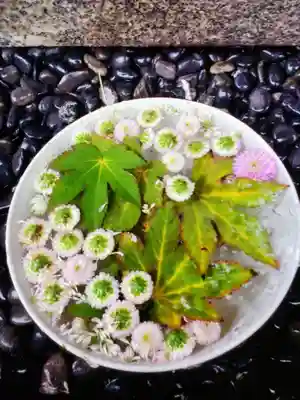 高円寺氷川神社(東京都)