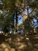 麻賀多神社(千葉県)