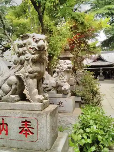 大宝八幡宮の狛犬