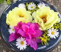 真言宗 善通寺派 薬王寺の手水舎