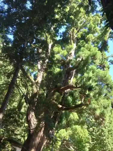 若狭姫神社（若狭彦神社下社）(福井県)