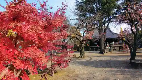 寛永寺(根本中堂)の自然
