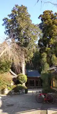 鷺森神社(京都府)