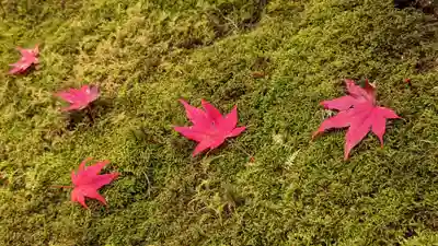 榮攝院（栄摂院）(京都府)