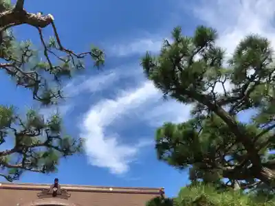 舞子六神社/まいこむの宮(兵庫県)