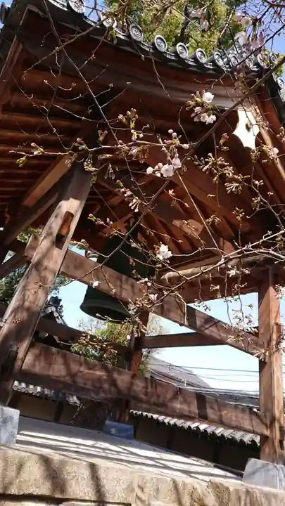 願得寺のその他建物